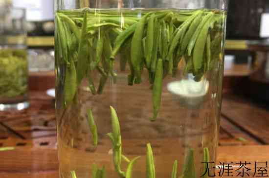 雀舌茶的副作用，雀舌茶什么人不能喝？