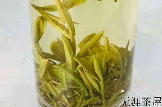 中国四大黄茶，黄茶的代表名茶是？