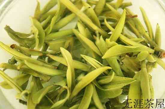 中国四大黄茶，黄茶的代表名茶是？