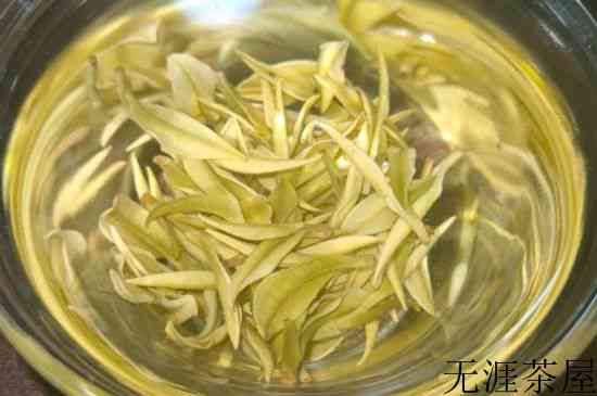 茶多酚能减肥吗，茶多酚减肥效果怎么样？