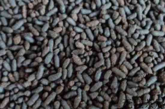 虫屎茶的禁忌，喝虫屎茶的注意事项
