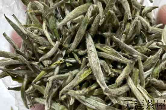 白毫银针茶什么时候上市，白毫银针几月份上新茶