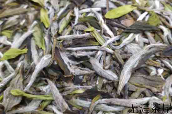 白毫银针茶什么时候上市，白毫银针几月份上新茶