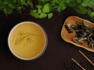 生茶和熟茶哪个好，生茶好还是熟茶好普洱茶