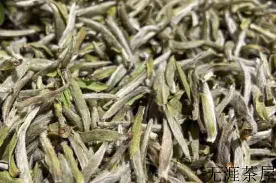 白茶泡几次最好，白茶冲泡几次合适
