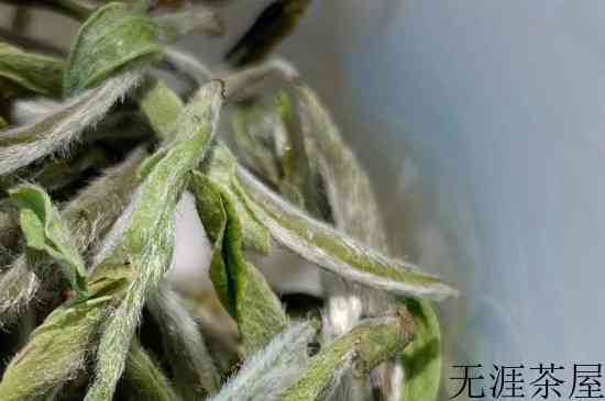 青茶十大排名，青茶最好的品种是什么？