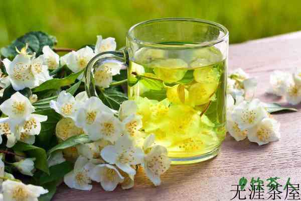 茉莉花茶6种人不要喝，茉莉花茶什么人不要喝
