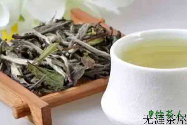 白茶是寒性的还是温性的，白茶属于什么茶性