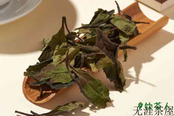 白茶是寒性的还是温性的，白茶属于什么茶性
