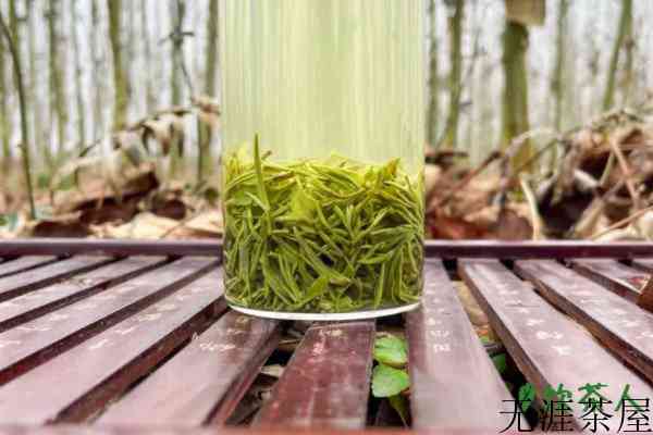 信阳毛尖是什么茶，信阳毛尖是绿茶还是红茶(名贵绿茶)