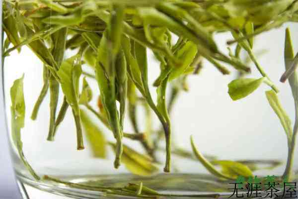 黄山毛峰是什么茶类，黄山毛峰是绿茶还是红茶(名贵绿茶)