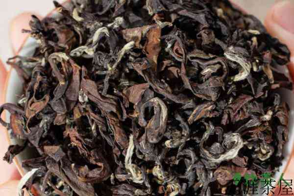 安溪乌龙茶分类，安溪乌龙茶品种(六大名贵青茶)
