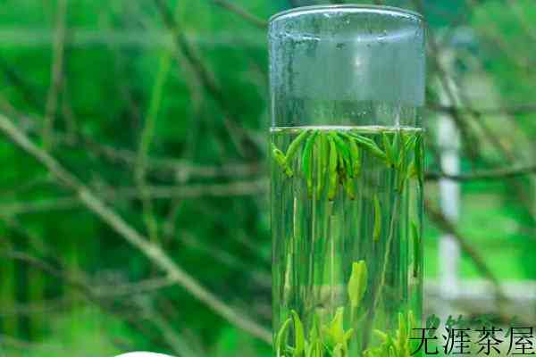 龙顶茶属于绿茶还是红茶，龙顶茶是绿茶吗(优质绿茶品种)