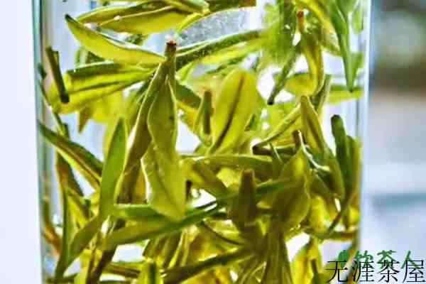 绿茶茶汤是什么颜色，绿茶茶汤绿的好还是黄的好(以嫩绿为主)