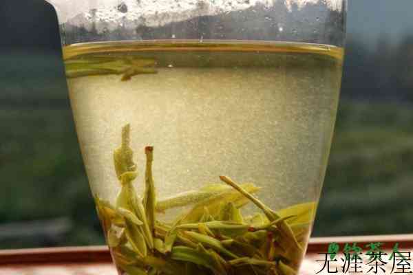 绿茶茶汤是什么颜色，绿茶茶汤绿的好还是黄的好(以嫩绿为主)