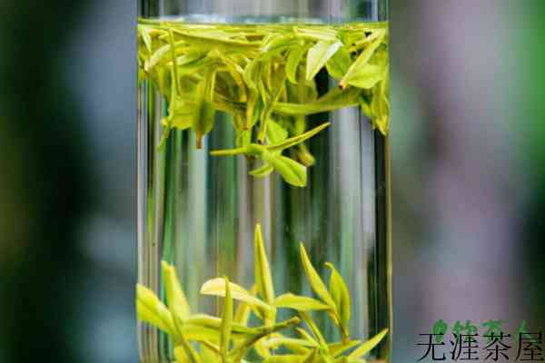 绿茶茶汤是什么颜色，绿茶茶汤绿的好还是黄的好(以嫩绿为主)