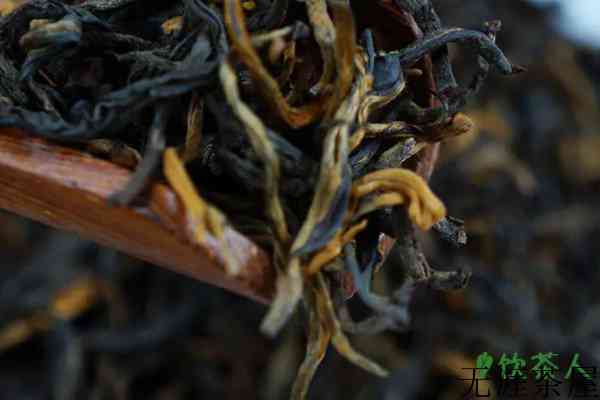 什么茶叶公认最好喝，十大最好喝的茶(国内不容错过的好茶)