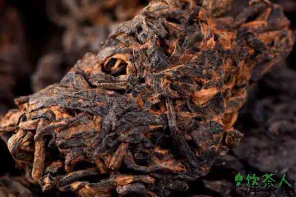普洱茶是红茶吗，普洱属于什么红茶还是绿茶(中国特种茶类)