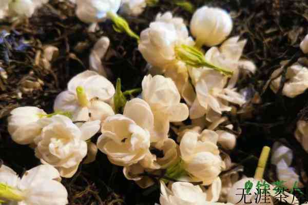 福州人喝什么茶，福州人爱喝什么茶(五款常见口粮茶)
