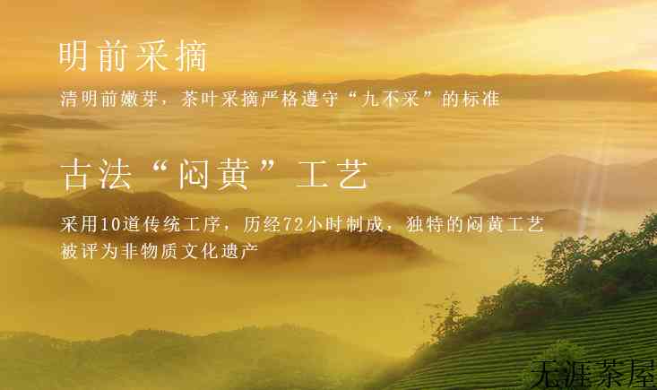黄茶加工工艺流程