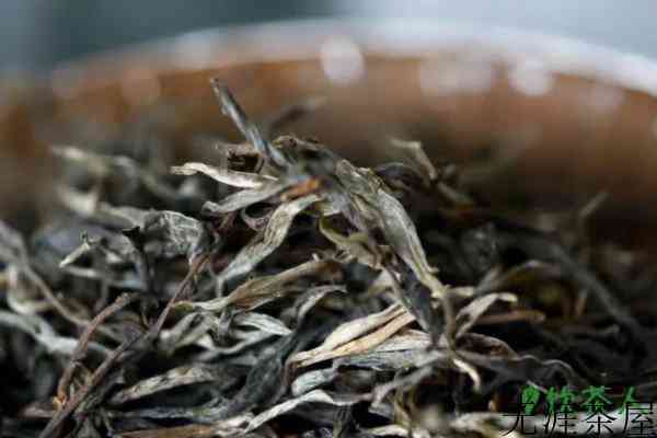 送礼用什么茶，送茶叶送什么茶叶好(六大名牌好茶)