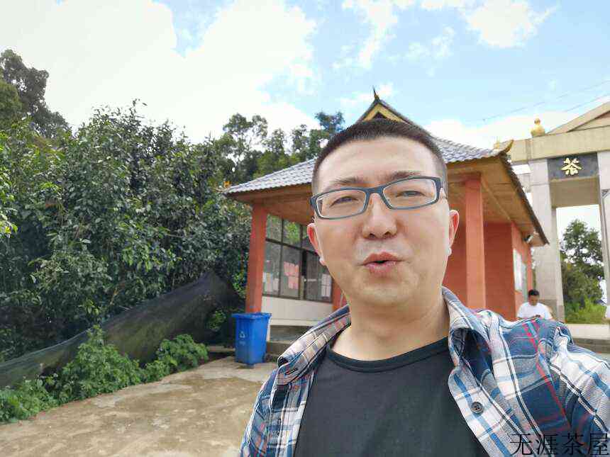 丫口老寨属于哪个茶区