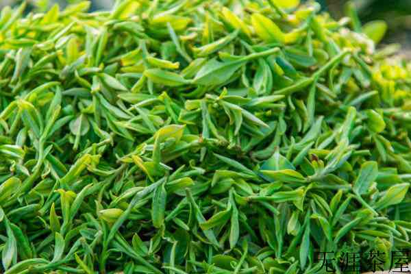 每天喝龙井茶的好处，每天喝龙井有什么好处(五大好处)