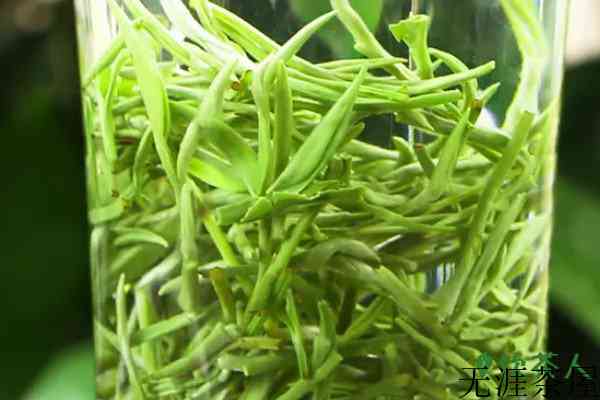 毛尖属于什么茶出自哪里，毛尖茶属于哪里的特产(五大毛尖茶区)