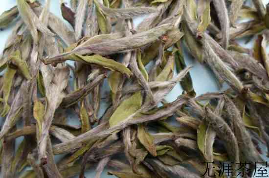荒野牡丹白茶功效_白牡丹茶的功效与作用