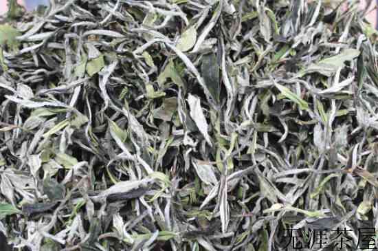 荒野牡丹白茶功效_白牡丹茶的功效与作用