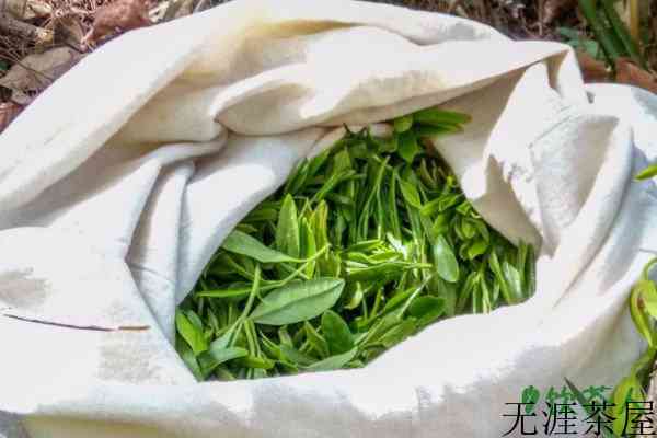 野茶属于什么档次的茶叶，野茶属于什么茶多少钱一斤