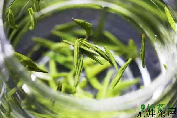 茶叶排行榜前10名，十大茶叶排行榜(各类名茶推荐)