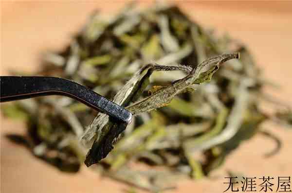 冬煮白茶（这么冷的天，来煮一壶老白茶）