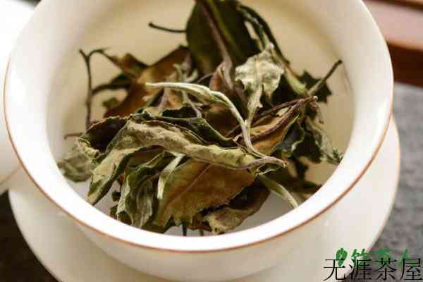 白茶怎样喝才好喝，怎样喝白茶才是正确的(好用的五大技巧)