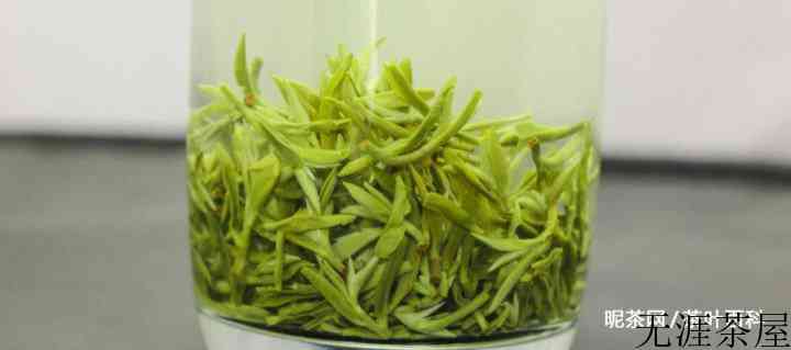 什么是绿茶？绿茶有哪些品种？