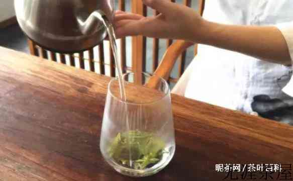 西湖龙井的冲泡步骤