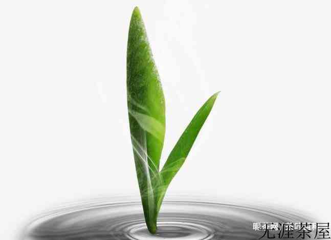 人生如茶、茶如人生什么意思？茶与人、生活的关系
