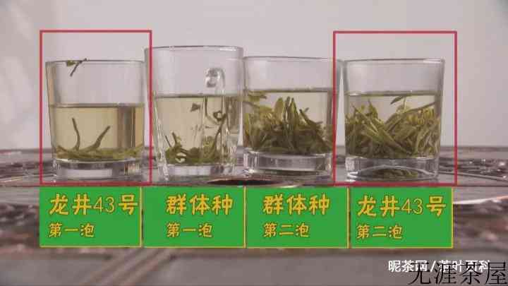 西湖龙井茶有哪些品种？各自的特点是什么？