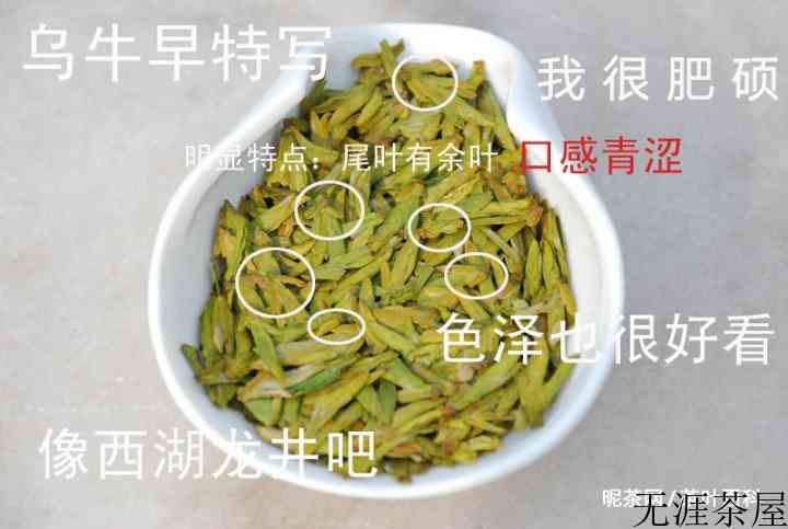 西湖龙井茶有哪些品种？各自的特点是什么？