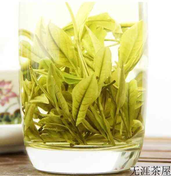 安吉白茶泡法的正确方法和温度