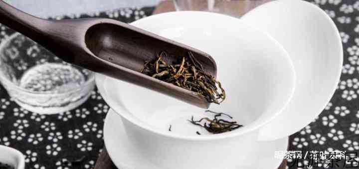 绿茶如何冲泡最好？绿茶的冲泡方法，以及泡茶的步骤流程