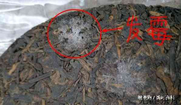 喝茶的禁忌与注意事项有哪些？需要注意这几点。