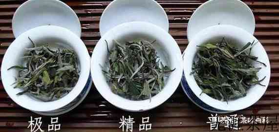 白牡丹茶的味道、形状、颜色的介绍