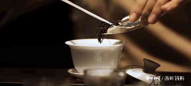 茶的冲泡一般有哪些步骤和流程？