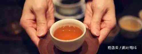 茶的冲泡一般有哪些步骤和流程？