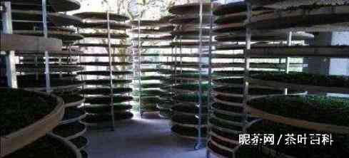 红茶的加工工艺及流程，红茶的工序都经过那些步骤？