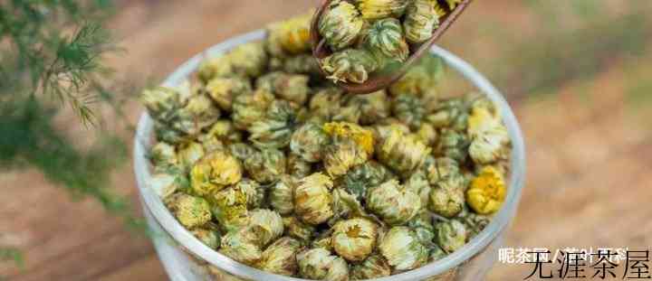 贡菊和胎菊哪个更去火，效果更好？