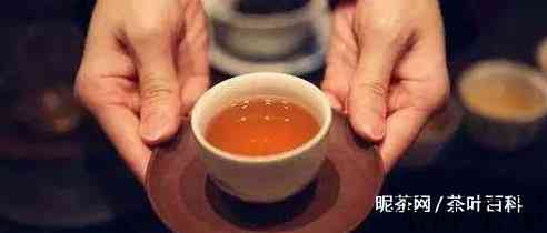 招待客人，泡茶、奉茶要注意哪些？
