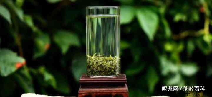 崂山绿茶的价格：崂山绿茶多少钱一斤