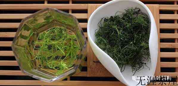 绞股蓝茶的功效与作用有哪些，禁忌又是什么
